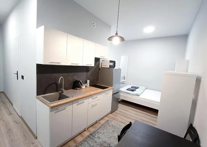 Steelpoint Apartament Centrum Dostep Na Kod