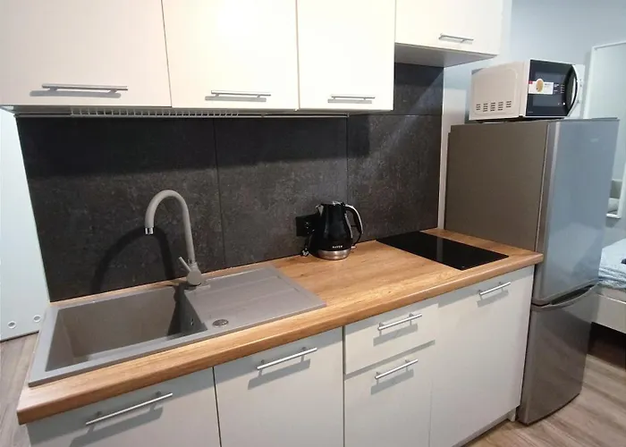 Steelpoint Apartament Centrum Dostep Na Kod