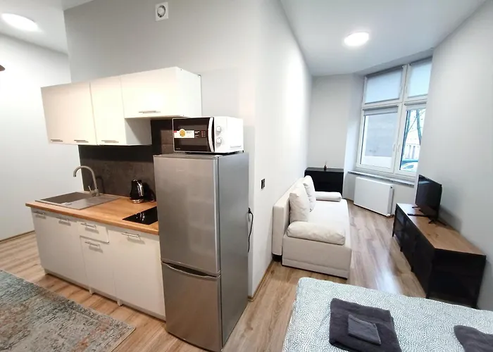 Steelpoint Apartament Centrum Dostep Na Kod